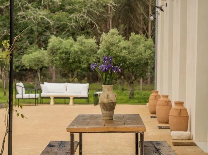 Luxueuse Avec Piscine Villa Le Temple (Gironde)